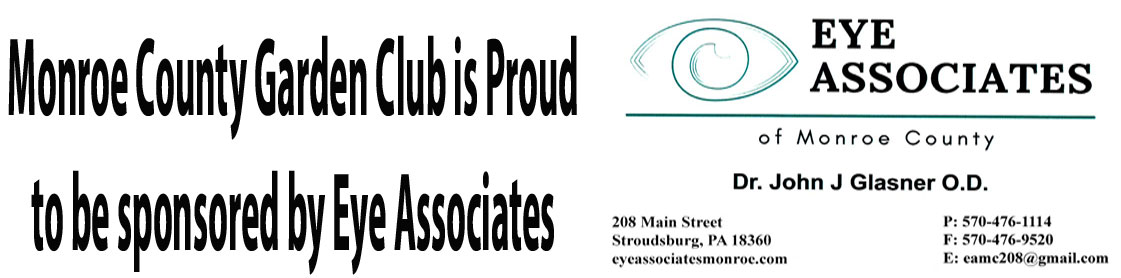 Eye Associates of Monroe County