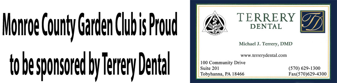 Terrery Dental